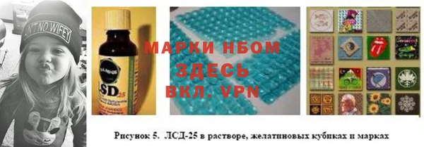 a pvp Няндома