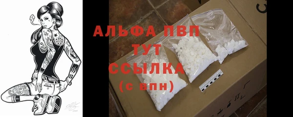 a pvp Няндома