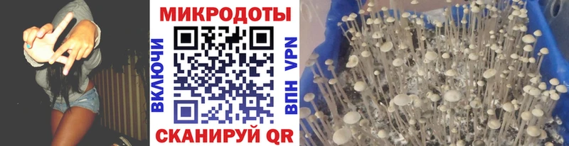 Галлюциногенные грибы Psilocybe  Харабали 